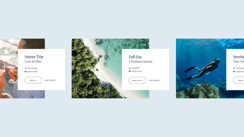 Island Voyage - Case Study