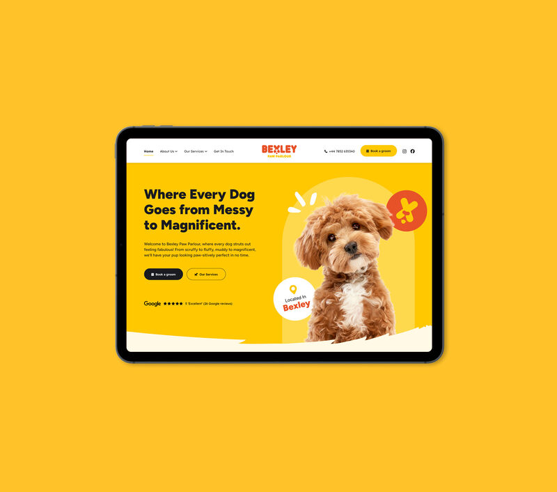 Website Design Essex